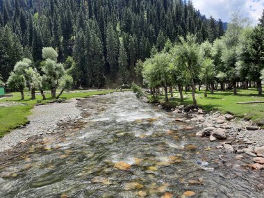 Kashmir is famous all over the world due to its natural beauty, green trees, high mountains, beautiful valleys, flowing springs, it is also called the Switzerland of the East.