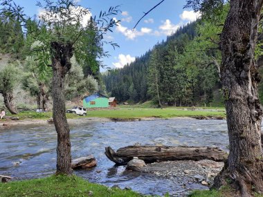 Kashmir is famous all over the world due to its natural beauty, green trees, high mountains, beautiful valleys, flowing springs, it is also called the Switzerland of the East.