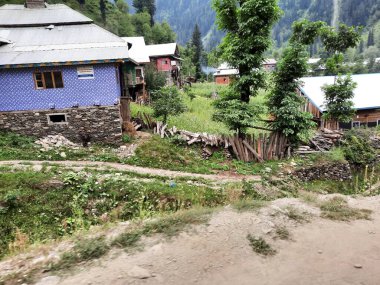 Kashmir is famous all over the world due to its natural beauty, green trees, high mountains, beautiful valleys, flowing springs, it is also called the Switzerland of the East.