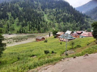 Kashmir is famous all over the world due to its natural beauty, green trees, high mountains, beautiful valleys, flowing springs, it is also called the Switzerland of the East.