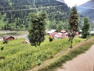 Kashmir is famous all over the world due to its natural beauty, green trees, high mountains, beautiful valleys, flowing springs, it is also called the Switzerland of the East.