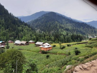 Kashmir is famous all over the world due to its natural beauty, green trees, high mountains, beautiful valleys, flowing springs, it is also called the Switzerland of the East.