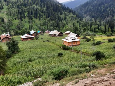 Kashmir is famous all over the world due to its natural beauty, green trees, high mountains, beautiful valleys, flowing springs, it is also called the Switzerland of the East.