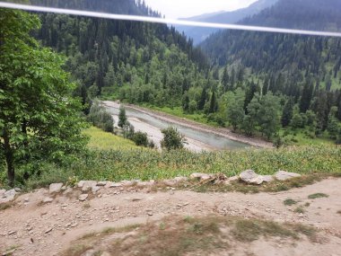 Kashmir is famous all over the world due to its natural beauty, green trees, high mountains, beautiful valleys, flowing springs, it is also called the Switzerland of the East.