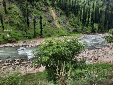 Kashmir is famous all over the world due to its natural beauty, green trees, high mountains, beautiful valleys, flowing springs, it is also called the Switzerland of the East.