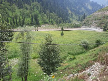 Kashmir is famous all over the world due to its natural beauty, green trees, high mountains, beautiful valleys, flowing springs, it is also called the Switzerland of the East.