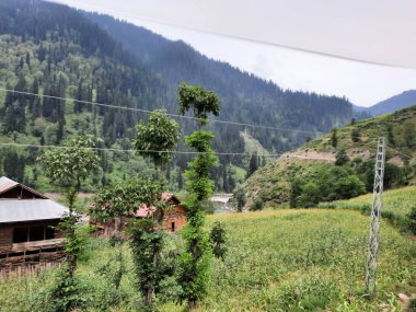 Kashmir is famous all over the world due to its natural beauty, green trees, high mountains, beautiful valleys, flowing springs, it is also called the Switzerland of the East.