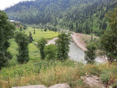Kashmir is famous all over the world due to its natural beauty, green trees, high mountains, beautiful valleys, flowing springs, it is also called the Switzerland of the East.