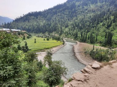 Kashmir is famous all over the world due to its natural beauty, green trees, high mountains, beautiful valleys, flowing springs, it is also called the Switzerland of the East.
