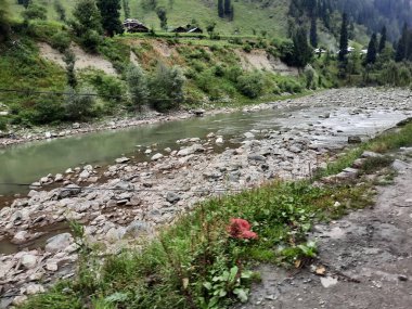 Kashmir is famous all over the world due to its natural beauty, green trees, high mountains, beautiful valleys, flowing springs, it is also called the Switzerland of the East.