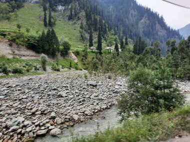 Kashmir is famous all over the world due to its natural beauty, green trees, high mountains, beautiful valleys, flowing springs, it is also called the Switzerland of the East.