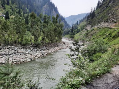 Kashmir is famous all over the world due to its natural beauty, green trees, high mountains, beautiful valleys, flowing springs, it is also called the Switzerland of the East.