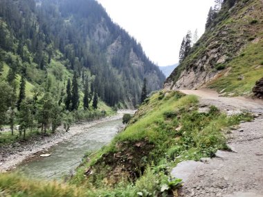 Kashmir is famous all over the world due to its natural beauty, green trees, high mountains, beautiful valleys, flowing springs, it is also called the Switzerland of the East.