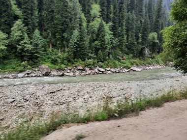 Kashmir is famous all over the world due to its natural beauty, green trees, high mountains, beautiful valleys, flowing springs, it is also called the Switzerland of the East.