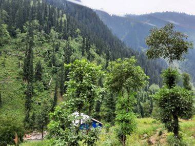 Kashmir is famous all over the world due to its natural beauty, green trees, high mountains, beautiful valleys, flowing springs, it is also called the Switzerland of the East.