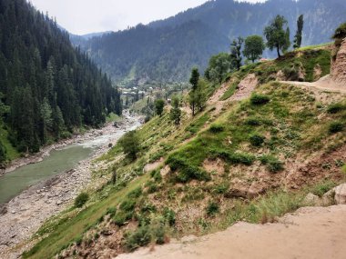 Kashmir is famous all over the world due to its natural beauty, green trees, high mountains, beautiful valleys, flowing springs, it is also called the Switzerland of the East.