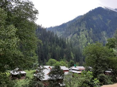 Kashmir is famous all over the world due to its natural beauty, green trees, high mountains, beautiful valleys, flowing springs, it is also called the Switzerland of the East.
