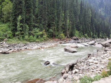 Kashmir is famous all over the world due to its natural beauty, green trees, high mountains, beautiful valleys, flowing springs, it is also called the Switzerland of the East.