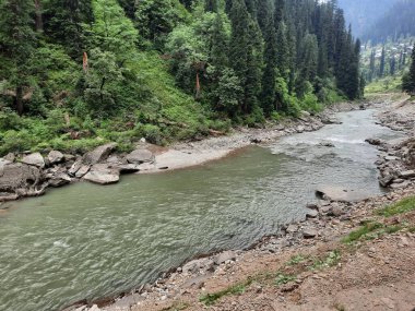 Kashmir is famous all over the world due to its natural beauty, green trees, high mountains, beautiful valleys, flowing springs, it is also called the Switzerland of the East.