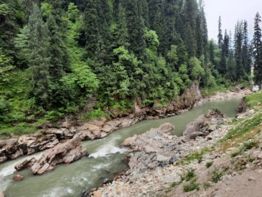 Kashmir is famous all over the world due to its natural beauty, green trees, high mountains, beautiful valleys, flowing springs, it is also called the Switzerland of the East.