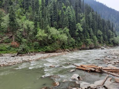 Kashmir is famous all over the world due to its natural beauty, green trees, high mountains, beautiful valleys, flowing springs, it is also called the Switzerland of the East.