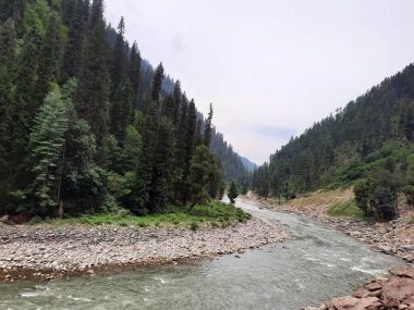 Kashmir is famous all over the world due to its natural beauty, green trees, high mountains, beautiful valleys, flowing springs, it is also called the Switzerland of the East.