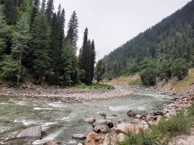 Kashmir is famous all over the world due to its natural beauty, green trees, high mountains, beautiful valleys, flowing springs, it is also called the Switzerland of the East.