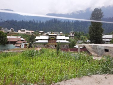 Kashmir is famous all over the world due to its natural beauty, green trees, high mountains, beautiful valleys, flowing springs, it is also called the Switzerland of the East.