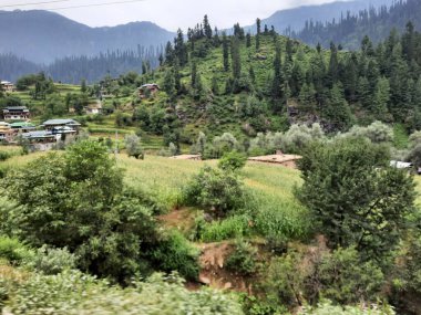 Kashmir is famous all over the world due to its natural beauty, green trees, high mountains, beautiful valleys, flowing springs, it is also called the Switzerland of the East.