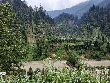 Kashmir is famous all over the world due to its natural beauty, green trees, high mountains, beautiful valleys, flowing springs, it is also called the Switzerland of the East.