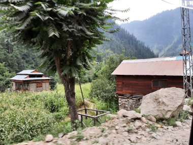 Kashmir is famous all over the world due to its natural beauty, green trees, high mountains, beautiful valleys, flowing springs, it is also called the Switzerland of the East.