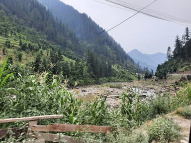 Kashmir is famous all over the world due to its natural beauty, green trees, high mountains, beautiful valleys, flowing springs, it is also called the Switzerland of the East.