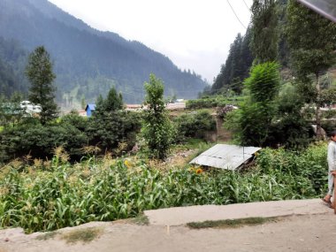 Kashmir is famous all over the world due to its natural beauty, green trees, high mountains, beautiful valleys, flowing springs, it is also called the Switzerland of the East.