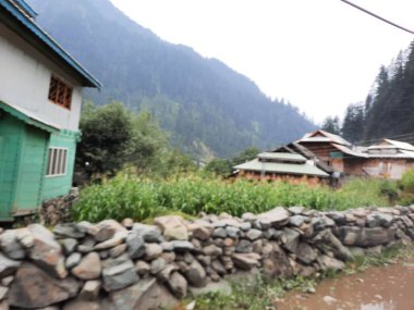 Kashmir is famous all over the world due to its natural beauty, green trees, high mountains, beautiful valleys, flowing springs, it is also called the Switzerland of the East.