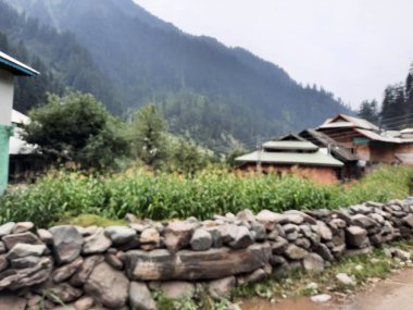 Kashmir is famous all over the world due to its natural beauty, green trees, high mountains, beautiful valleys, flowing springs, it is also called the Switzerland of the East.