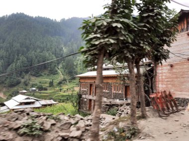 Kashmir is famous all over the world due to its natural beauty, green trees, high mountains, beautiful valleys, flowing springs, it is also called the Switzerland of the East.