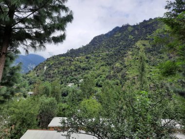 Kashmir is famous all over the world due to its natural beauty, green trees, high mountains, beautiful valleys, flowing springs, it is also called the Switzerland of the East.