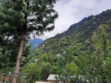 Kashmir is famous all over the world due to its natural beauty, green trees, high mountains, beautiful valleys, flowing springs, it is also called the Switzerland of the East.