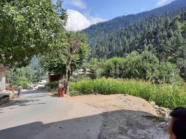 Kashmir is famous all over the world due to its natural beauty, green trees, high mountains, beautiful valleys, flowing springs, it is also called the Switzerland of the East.