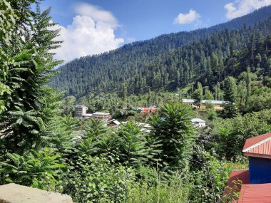 Kashmir is famous all over the world due to its natural beauty, green trees, high mountains, beautiful valleys, flowing springs, it is also called the Switzerland of the East.