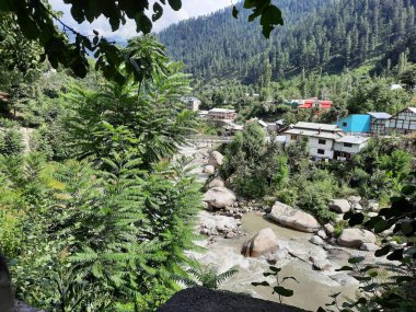 Kashmir is famous all over the world due to its natural beauty, green trees, high mountains, beautiful valleys, flowing springs, it is also called the Switzerland of the East.