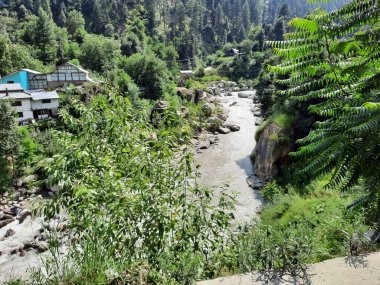 Kashmir is famous all over the world due to its natural beauty, green trees, high mountains, beautiful valleys, flowing springs, it is also called the Switzerland of the East.