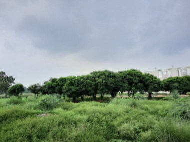 Pakistan yeşil vadiler, yüksek dağlar ve uzun nehirlerle dolu güzel bir ülkedir. Pakistan 'ın doğal güzelliği dünyanın her yerinden insanları cezbediyor..