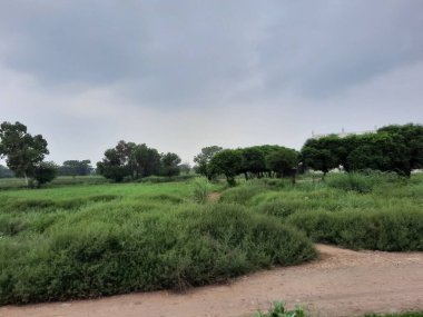 Pakistan yeşil vadiler, yüksek dağlar ve uzun nehirlerle dolu güzel bir ülkedir. Pakistan 'ın doğal güzelliği dünyanın her yerinden insanları cezbediyor..