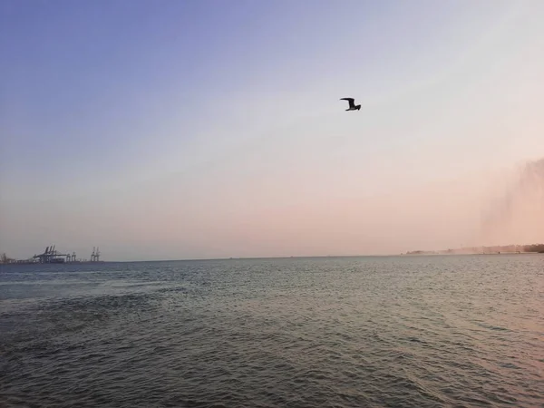 Une Belle Vue Sur Une Soirée Tranquille Sur Corniche Jeddah — Photo