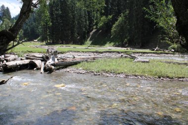 Neelum Vadisi 'nin çarpıcı güzelliği, Kashmir. Neelum Vadisi doğal güzelliği, yeşil vadileri, yüksek dağları ve güzel kristal berrak su nehirleriyle ünlüdür..