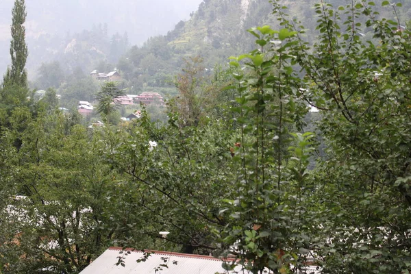 Superbe Beauté Vallée Neelum Cachemire Neelum Valley Est Célèbre Pour — Photo