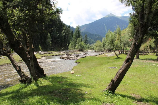 Neelum Vadisi 'nin çarpıcı güzelliği, Kashmir. Neelum Vadisi doğal güzelliği, yeşil vadileri, yüksek dağları ve güzel kristal berrak su nehirleriyle ünlüdür..