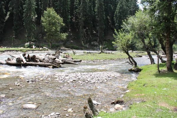 Потрясающая Красота Долины Нилум Кашмир Нелумская Долина Славится Своей Природной — стоковое фото