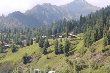 Neelum Vadisi 'nin çarpıcı güzelliği, Kashmir. Neelum Vadisi doğal güzelliği, yeşil vadileri, yüksek dağları ve güzel kristal berrak su nehirleriyle ünlüdür..